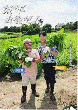 年轻媳妇的反击 剧照